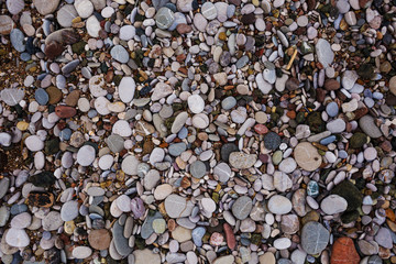 Small sea pebbles.