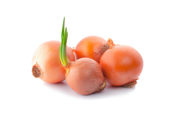 Ripe onions isolated on white background