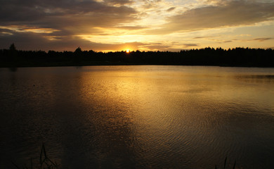 Bright sunset on a forest lake. Silence in the evening.