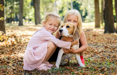 Fototapeta premium Little smiling blond girls sitting together hugging beagle dog in a sunshine autumn park