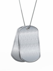 Fototapeta premium Blank soldier dogtags isolated on white background. 3D illustration