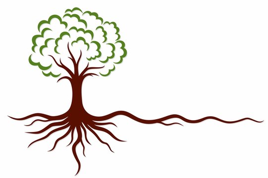 A symbol of the stylized tree with roots.