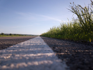 Close-up asphalt with white stripe and grass