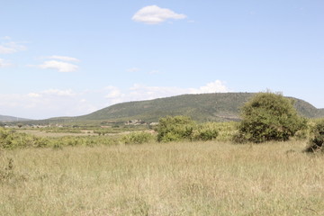 Fototapeta premium landscape with blue sky and clouds in Masai Mara