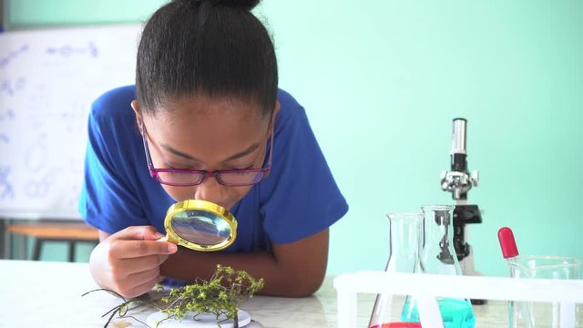 Young African American mixed kid using a magnifying glass on a green plant in chemistry and biology classroom lab experiment and smiling at camea - science and learning education concept