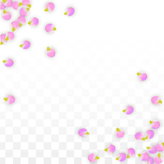 Fototapeta na wymiar Vector Realistic Pink Petals Falling on Transparent Background. Spring Romantic Flowers Illustration. Flying Petals. Sakura Spa Design. Blossom Confetti.