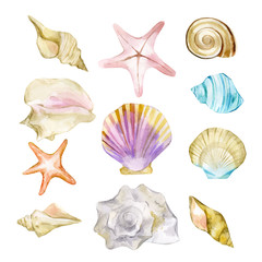 Hand-drawn watercolor vector illustration of the under the ocean. Aquarelle composition of exotic sea shells collection and starfish  isolated on a white background. Paint tropical scallop. Top view.