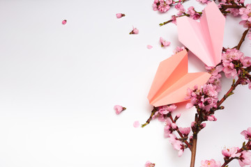 Peach blossom on white background and paper plane .