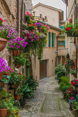 Fototapeta na wymiar Primavera in uno splendido vicolo fiorito del centro storico di Spello