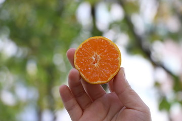 orange