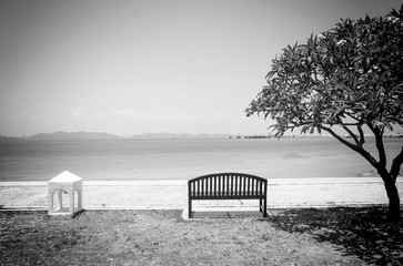 black and white . At seaside in summer ,chairs on the beach .Summer, Travel, Vacation and Holiday concept .