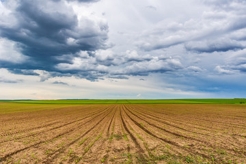 Plowed agricultural field and clouds in the sky