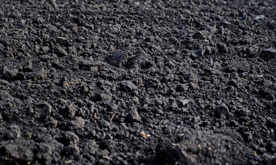 background of black earth texture with lumps and roots in the farm garden