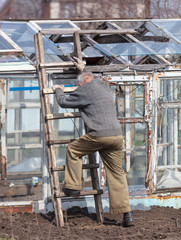 Fototapeta premium Grandfather on the stairs repairing a greenhouse in the garden
