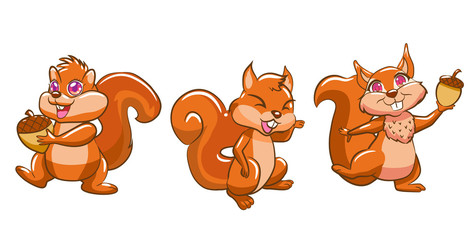 squirrel vector clipart design