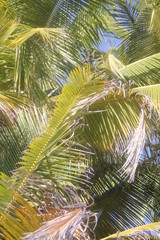 Obraz na płótnie Canvas seychelles private island beach