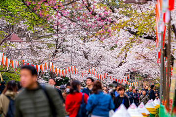上野公園で花見をする人々