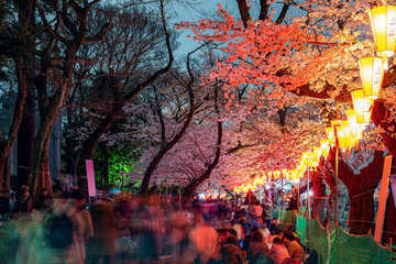 上野公園の夜桜で花見をする人々