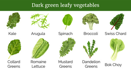 Dark green leafy vegetables, herbs. Spinach, Dandelion green, broccoli, Mustard, Romaine Lettuce, kale, Collard. - obrazy, fototapety, plakaty