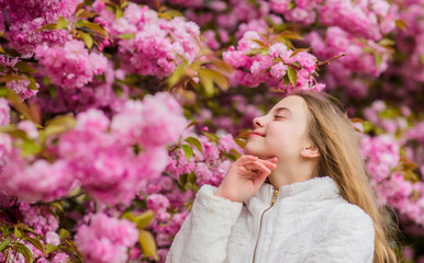 Fototapeta premium Sniffing flowers. Child enjoy warm spring. Girl enjoying floral aroma. Botany concept. Kid enjoying cherry blossom sakura. Flowers as soft pink clouds. Kid on pink flowers of sakura tree background