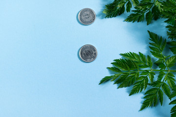 Fototapeta na wymiar China coins with leaf of fern on pink background. Flat lay. Space for text