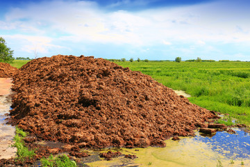 Fertilizer from cow manure and straw. Heap of manure