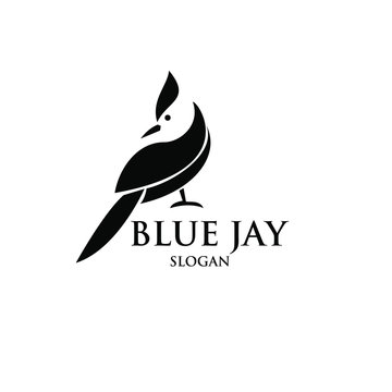 blue jay logo