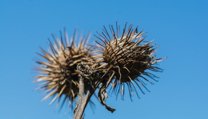 Kletten vor blauem Himmel