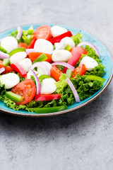 Vegetable salad with cheese mozzarella, tomatoes, basilikum and spice.