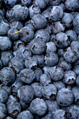Blaubeeren