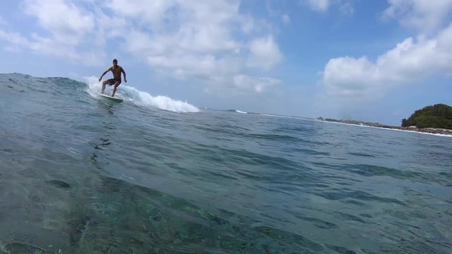 Surfer rides the tropical wave