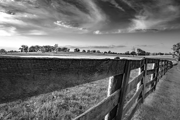 Wooden rail fence in Kentucky bluegrass region BW
