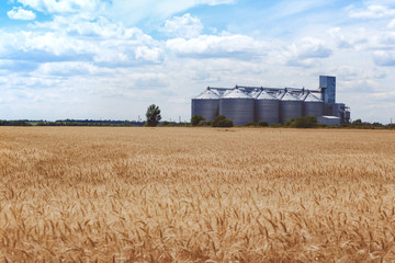 the grain elevator