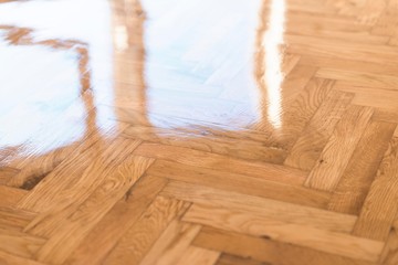 parquet floor isolated