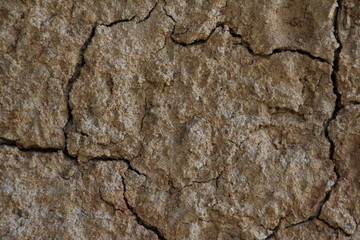 Full frame background of soil