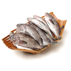 Fresh Grouper on white background