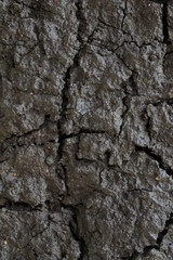 Full frame background of soil