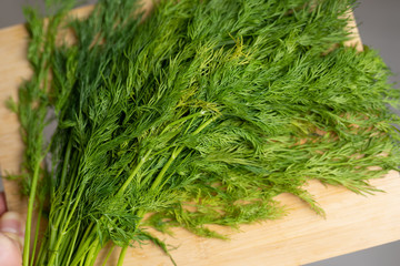 Dill on a cutting board, green food