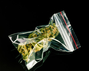 Bags of marijuana on a black background.