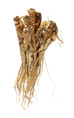 bellflower (Platycodon grandiflorus) isolated against a white background