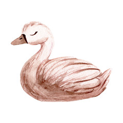 Watercolor swan. Hand painted illustration isolated on white background. Character swans for children's design