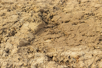 Ground dirt soil soil sand clay alumina texture background close-up