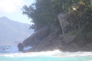 seychelles private coconut beach island