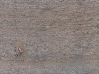 Sol en bois avec un caillou