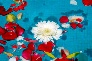 Flores flotando en el agua