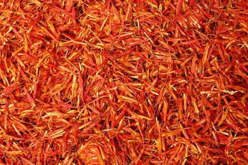 Dried safflower on white background