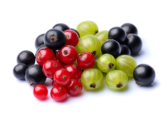 Berry of currants isolated on white backgrounds.