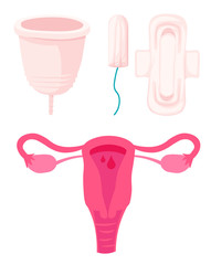 Vector set of female hygiene products. Menstrual cycle. Woman critical days. Set of women's means personal hygiene vector illustration. Menstrual cup, Sanitary napkin, tampon
