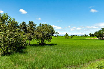 View of rural areas in Cambodia