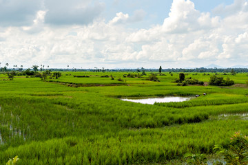 View of rural areas in Cambodia © Kazu